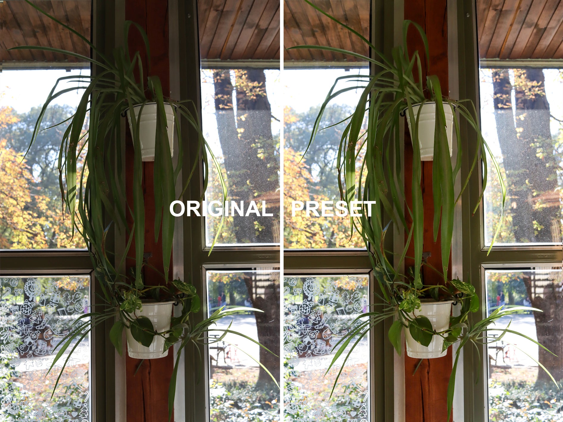 10 Vintage Green Lightroom Presets