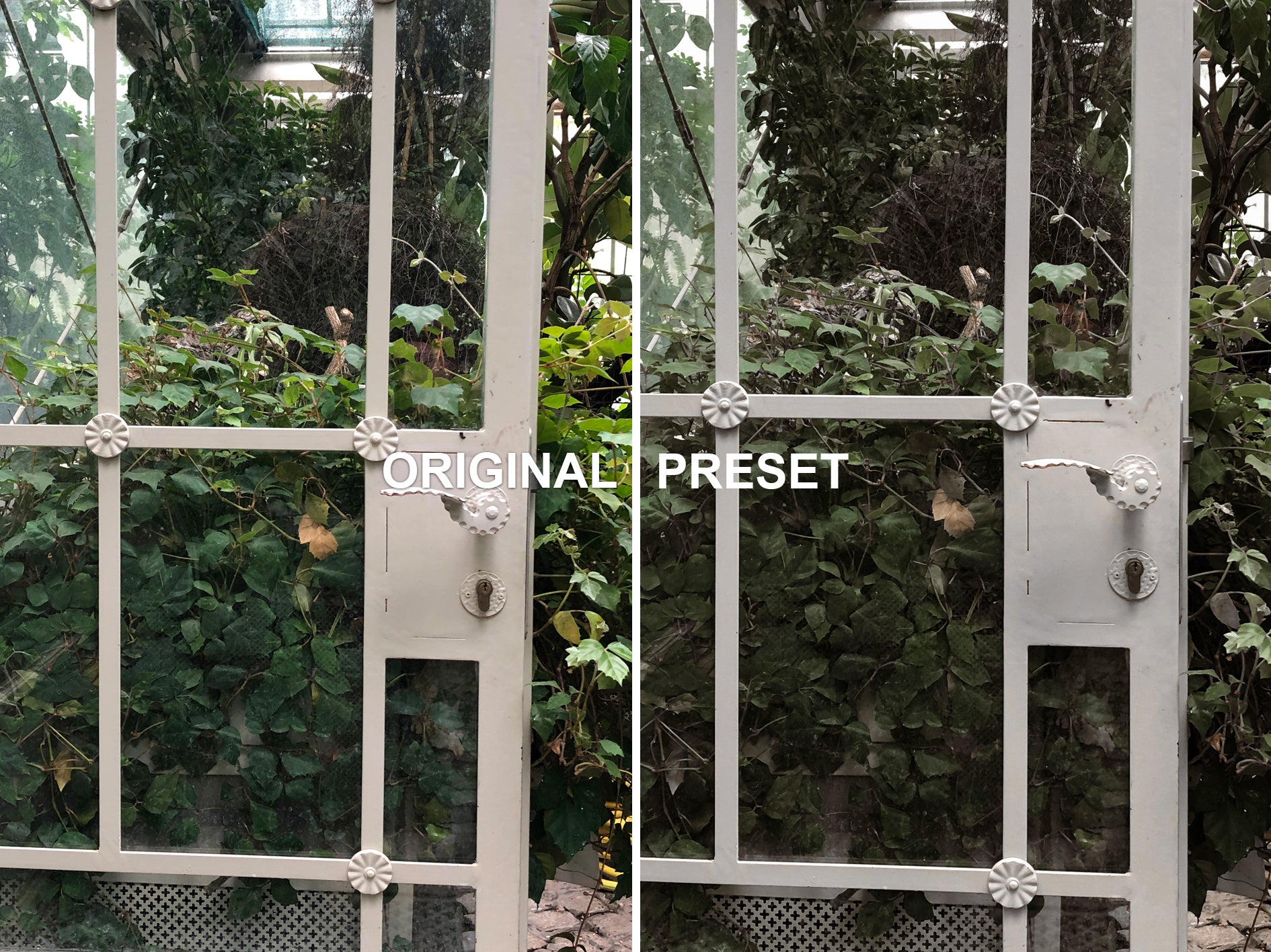 10 BOTANICAL Lightroom Presets