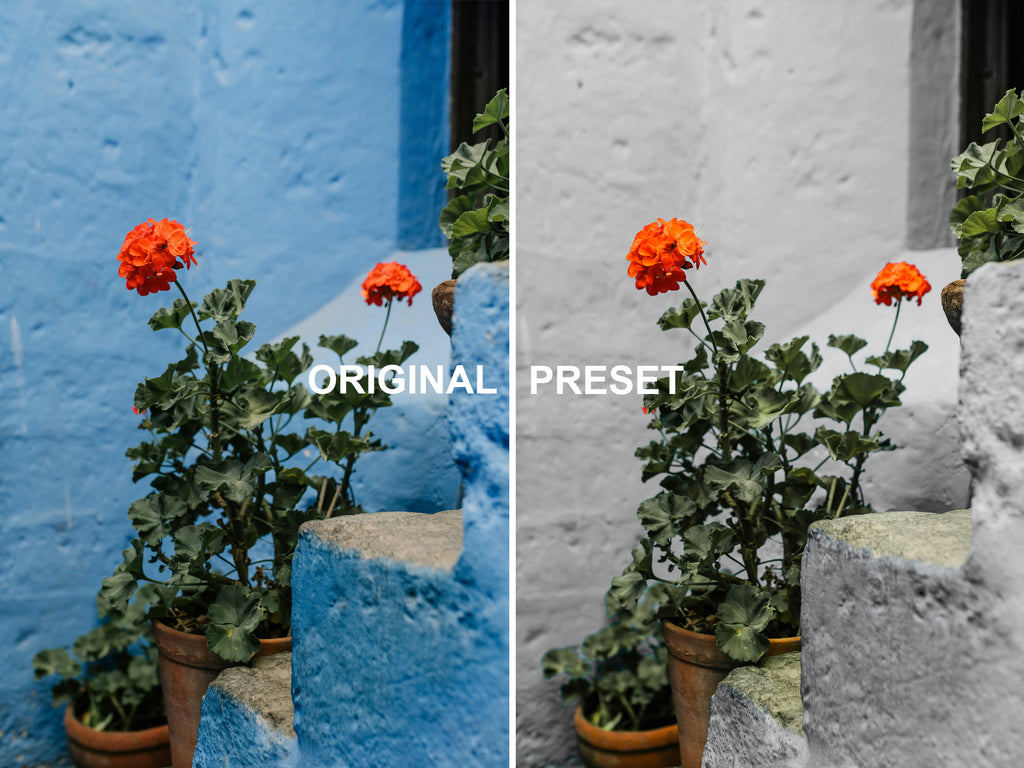 10 HELEN Lightroom Presets