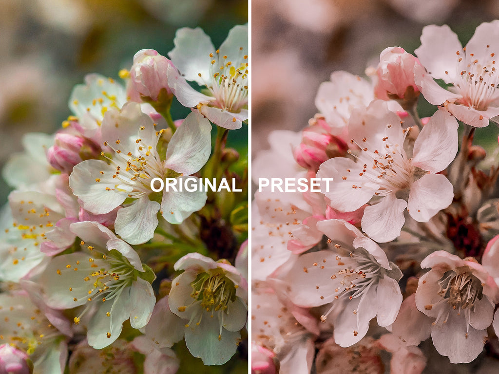 10 SPRING Lightroom Presets