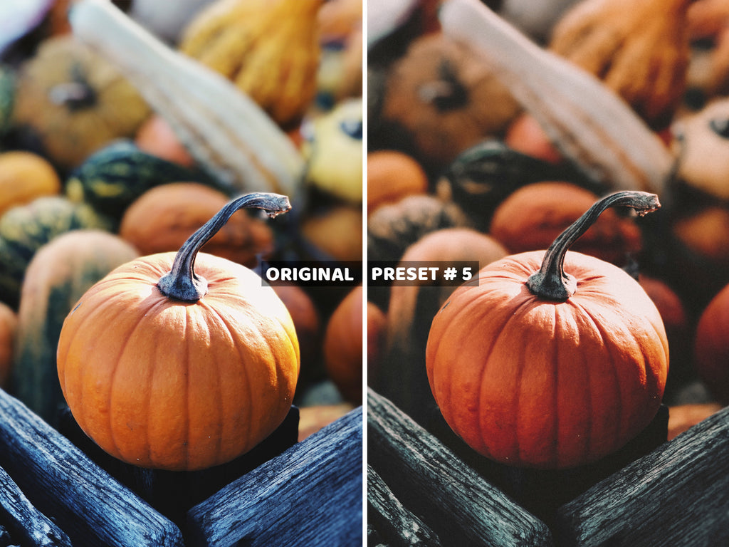 10 AUTUMN Lightroom Presets