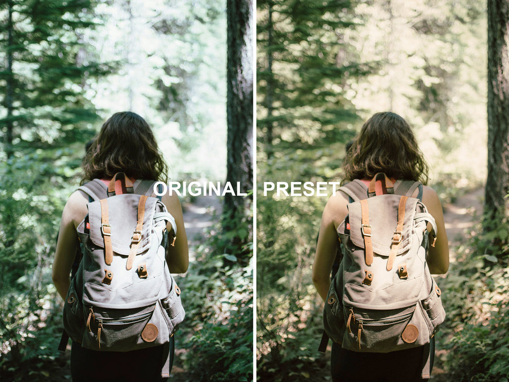 10 TWILIGHT - New Moon Lightroom Presets