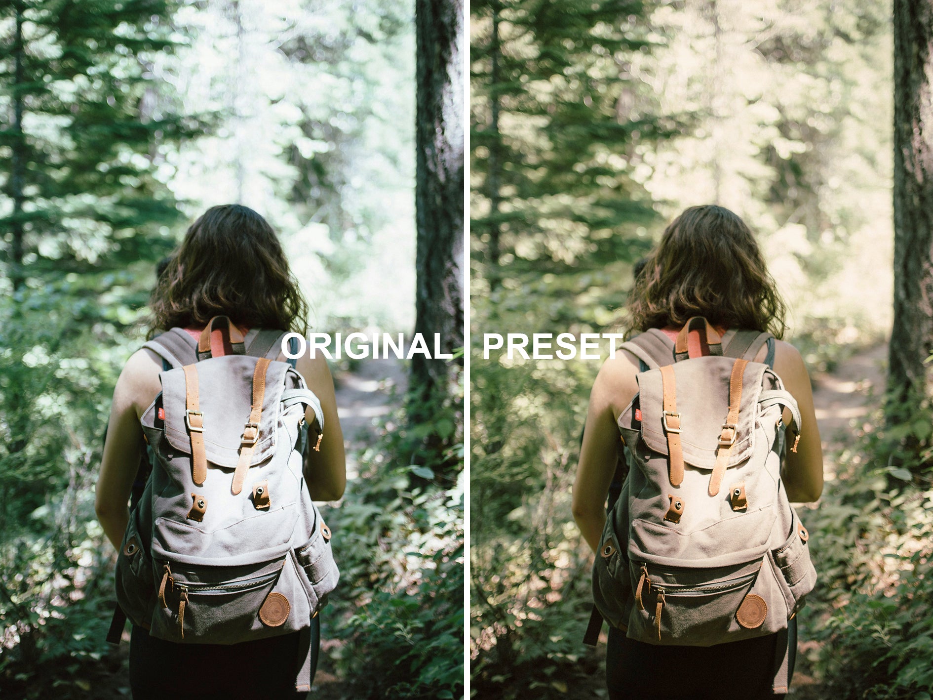 10 TWILIGHT - New Moon Lightroom Presets