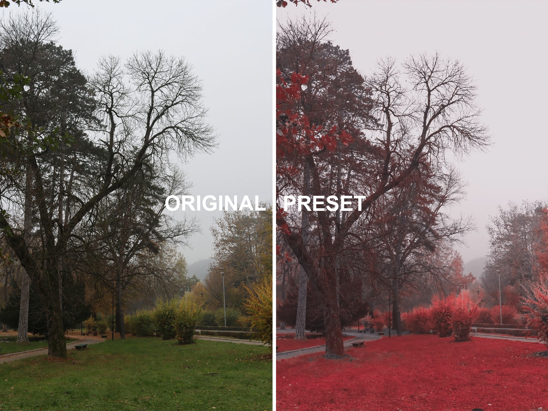 10 INFRARED FILM Lightroom Presets