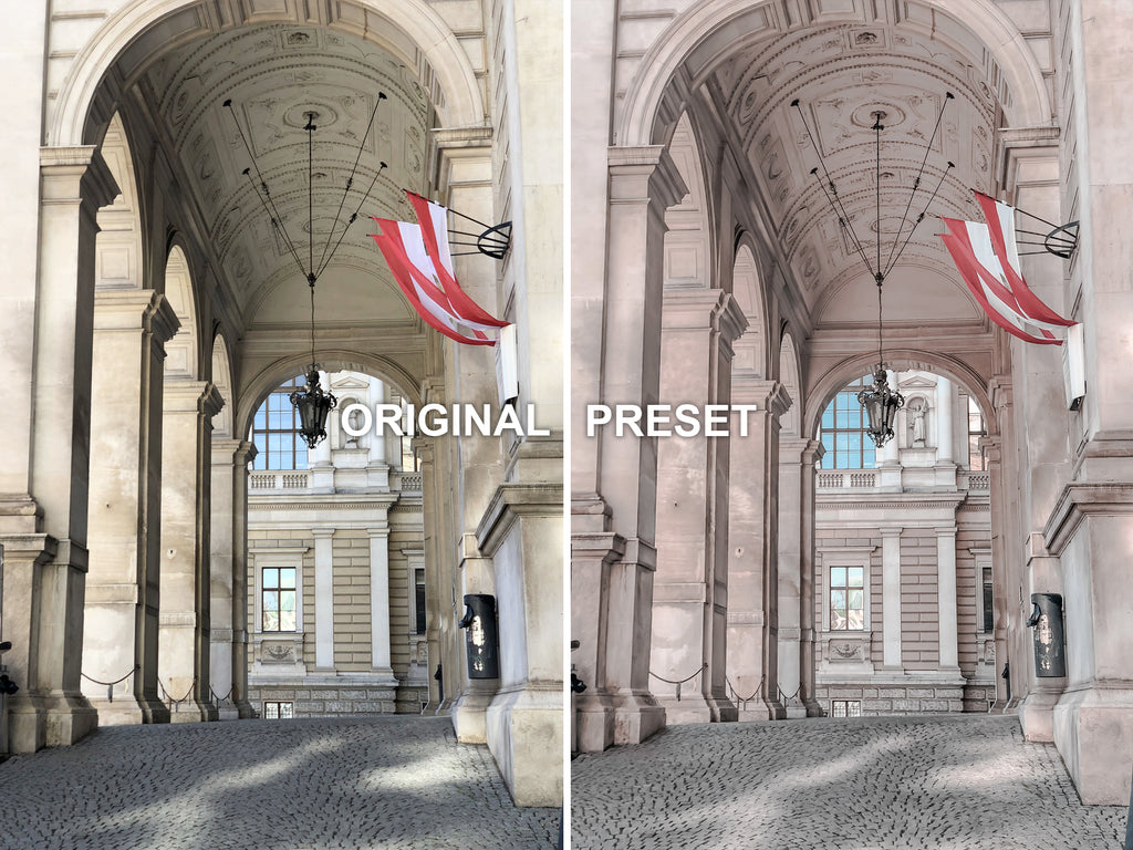 10 VIENNA Lightroom Presets