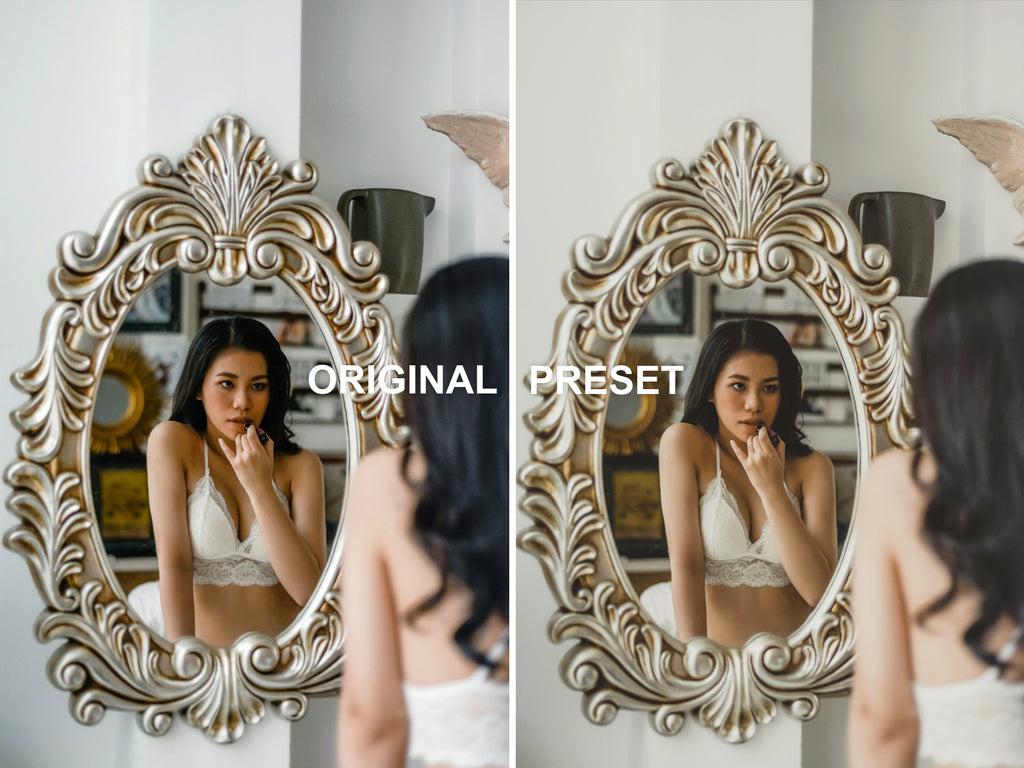 10 SAFARI Lightroom Presets