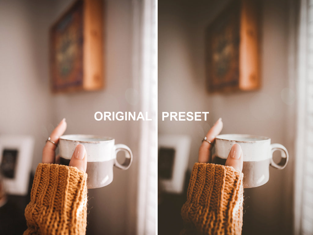10 MOODY Lightroom Presets