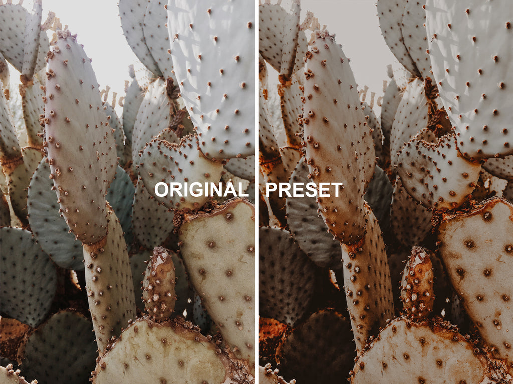 10 EARTHY Lightroom Presets