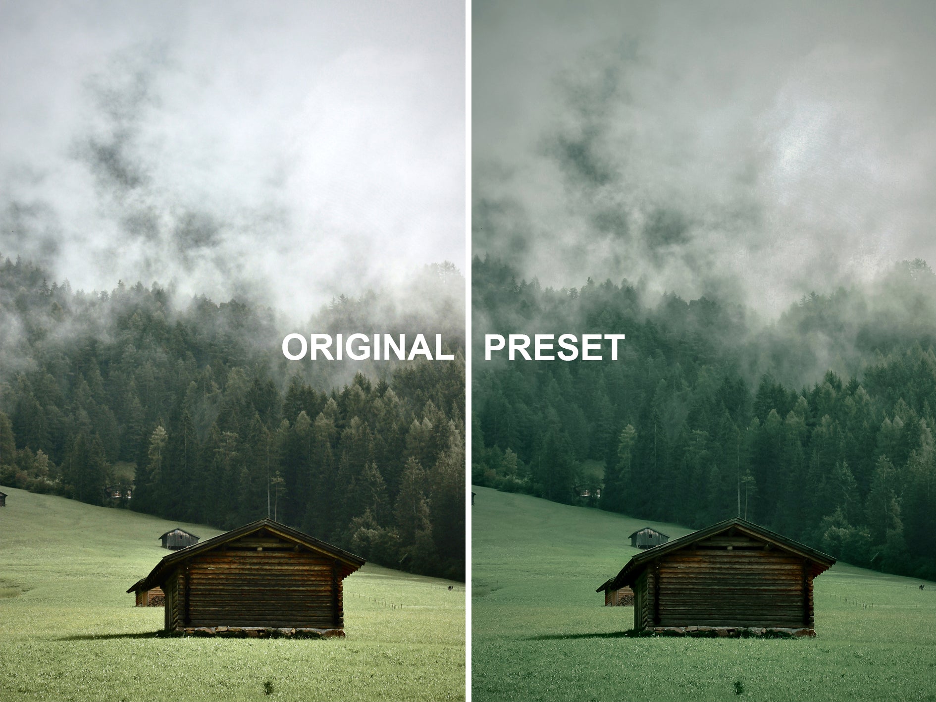 10 RAINFOREST Lightroom Presets