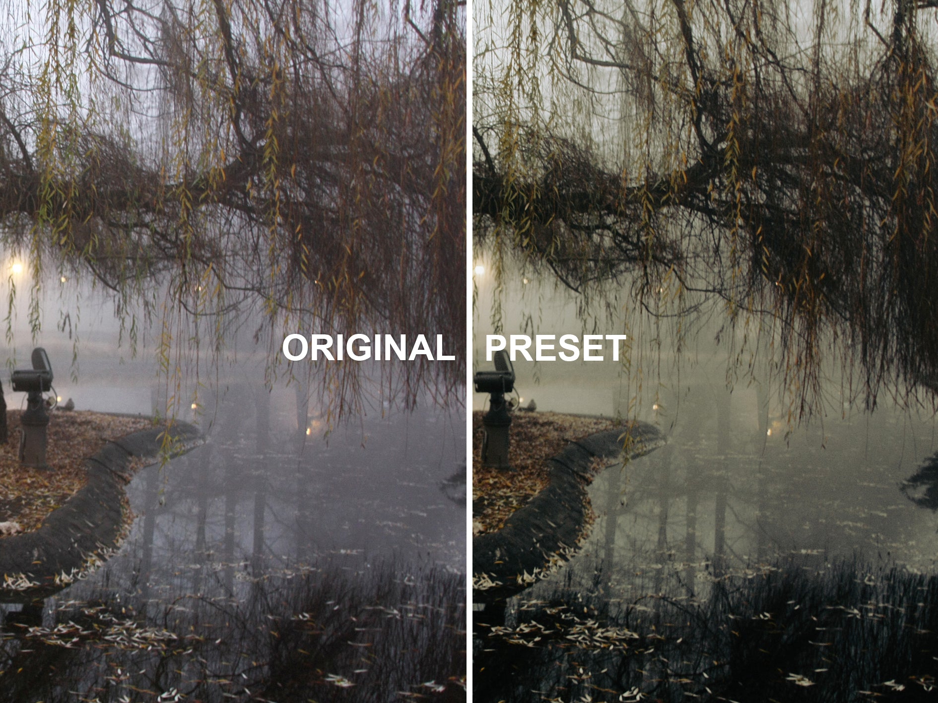 10 FOGHANNA Lightroom Presets
