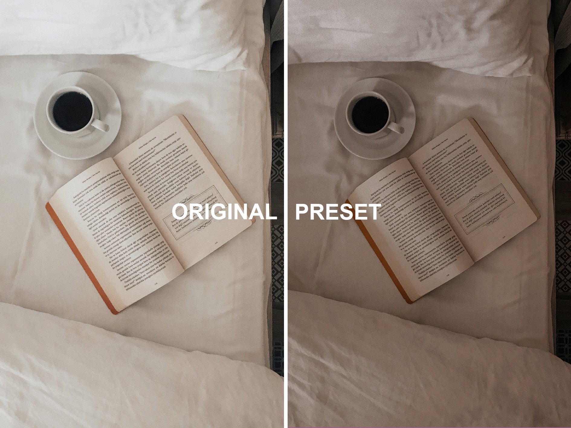 10 DARK ACADEMIA Lightroom Presets