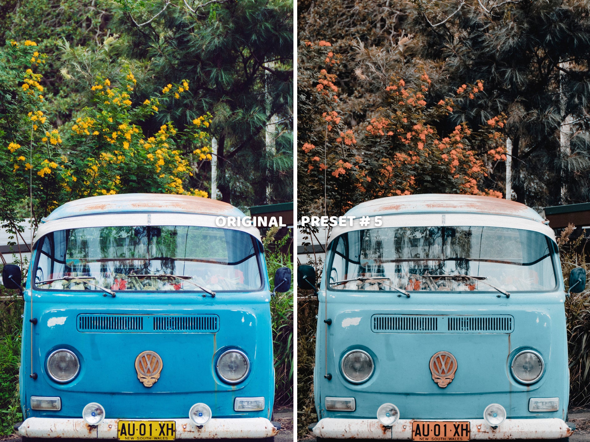 10 VINTAGE Lightroom Presets