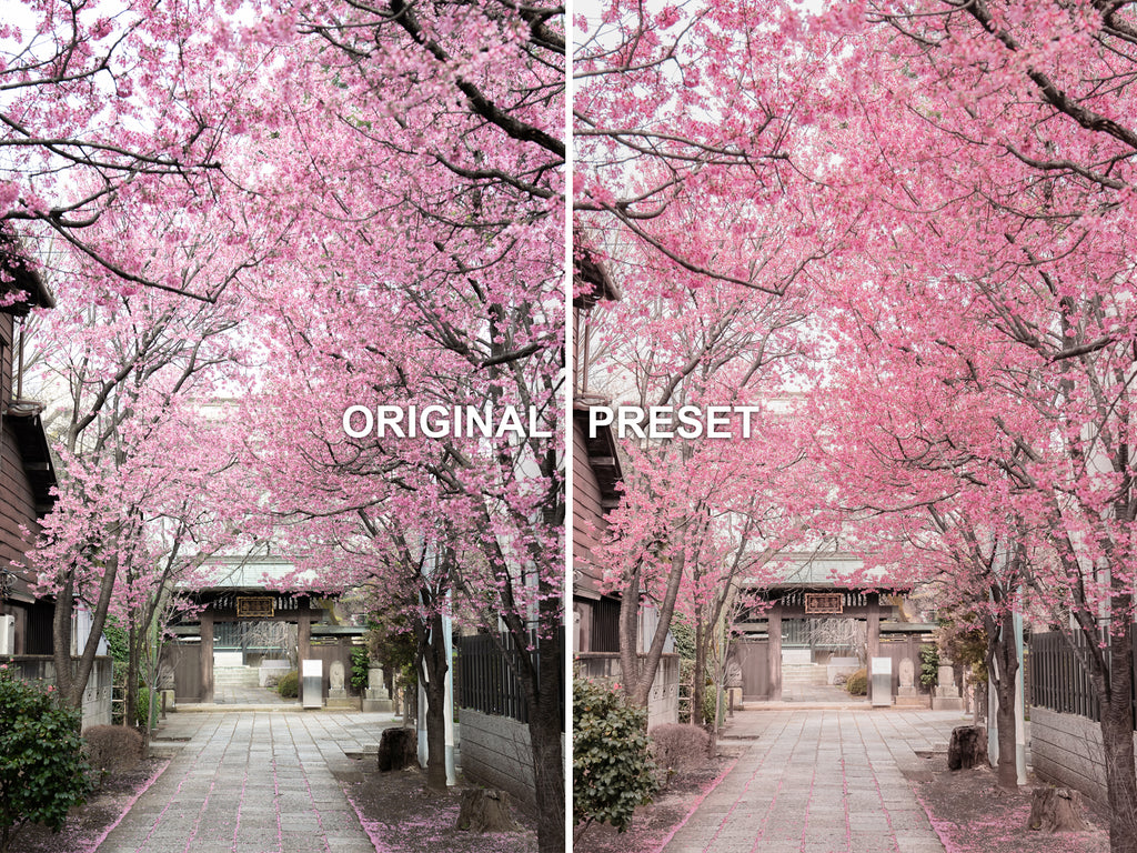 10 BLOSSOM Lightroom Presets