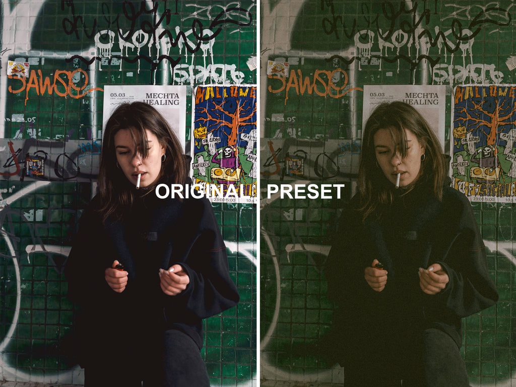 10 ZOO STATION Lightroom Presets