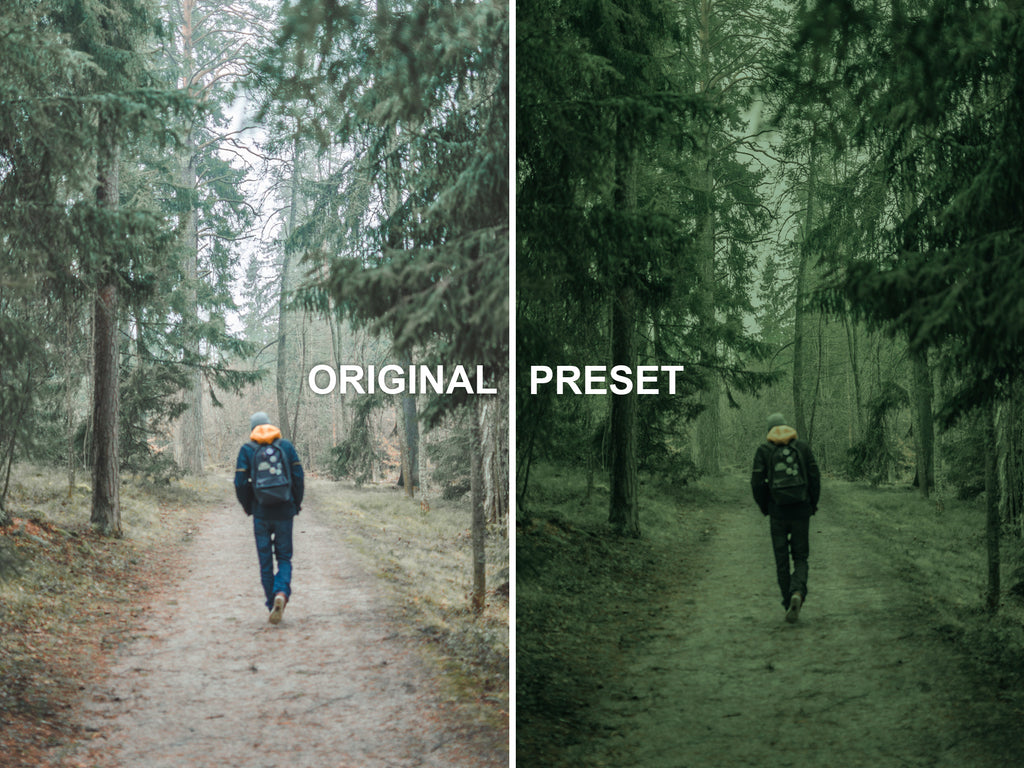10 HELSINKI Lightroom Presets
