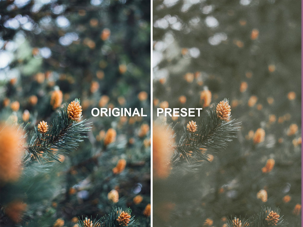 10 ANALOG Lightroom Presets
