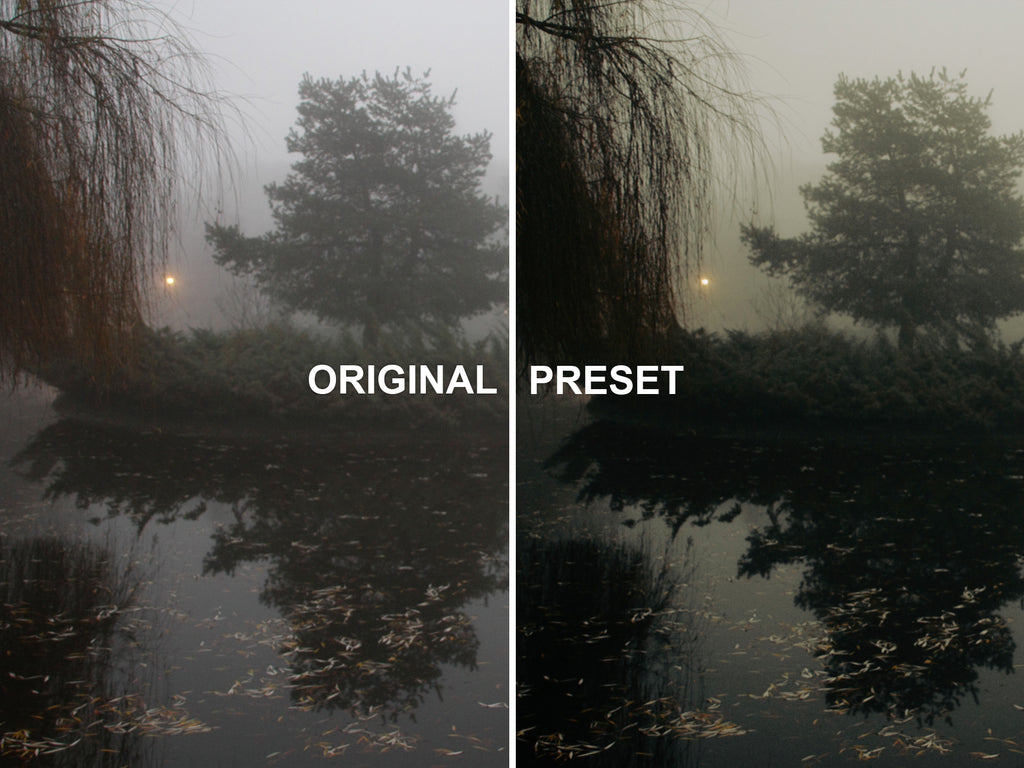 10 FOGHANNA Lightroom Presets