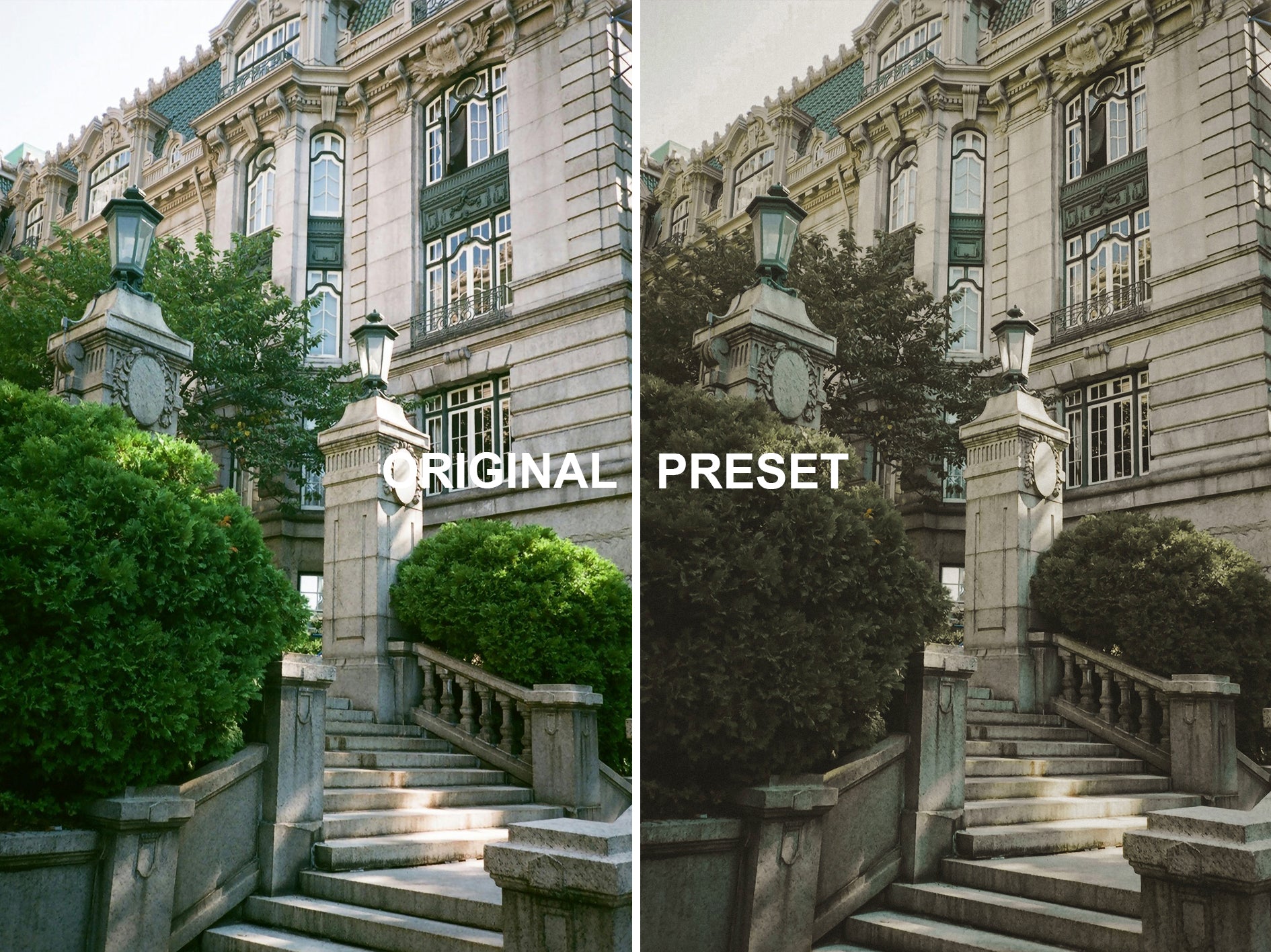 10 OLD MONEY Lightroom Presets