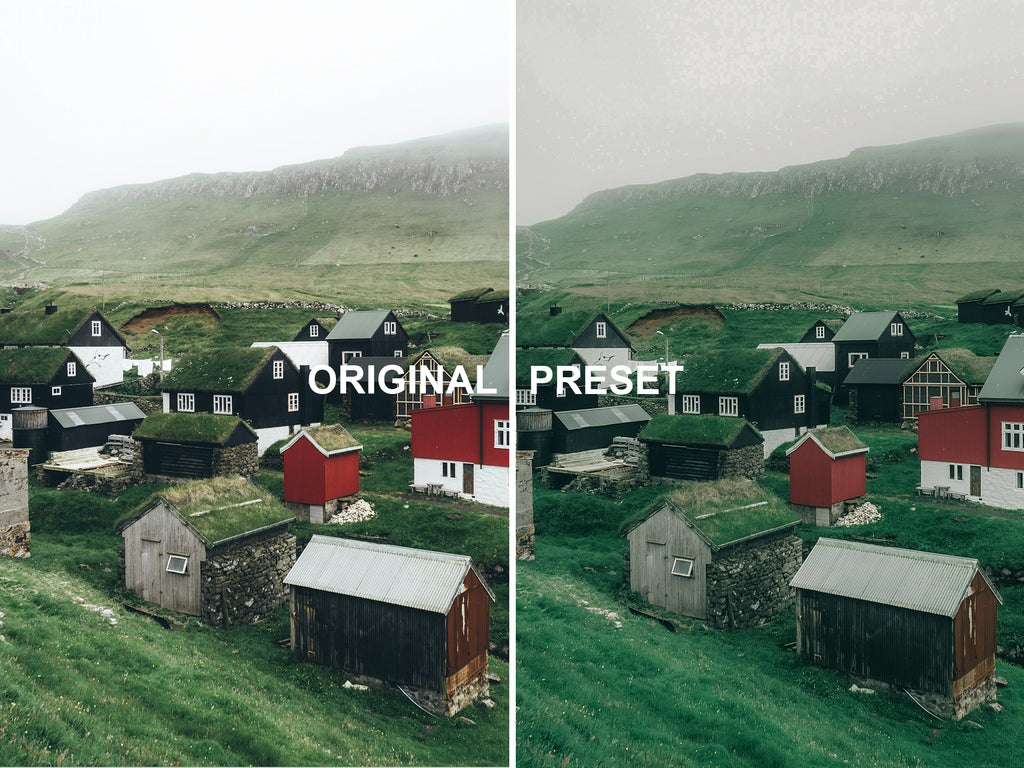 10 RAINFOREST Lightroom Presets