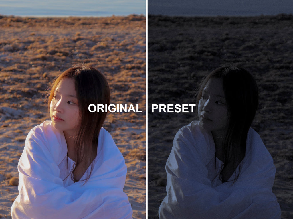 10 MOONLIGHT Lightroom Presets