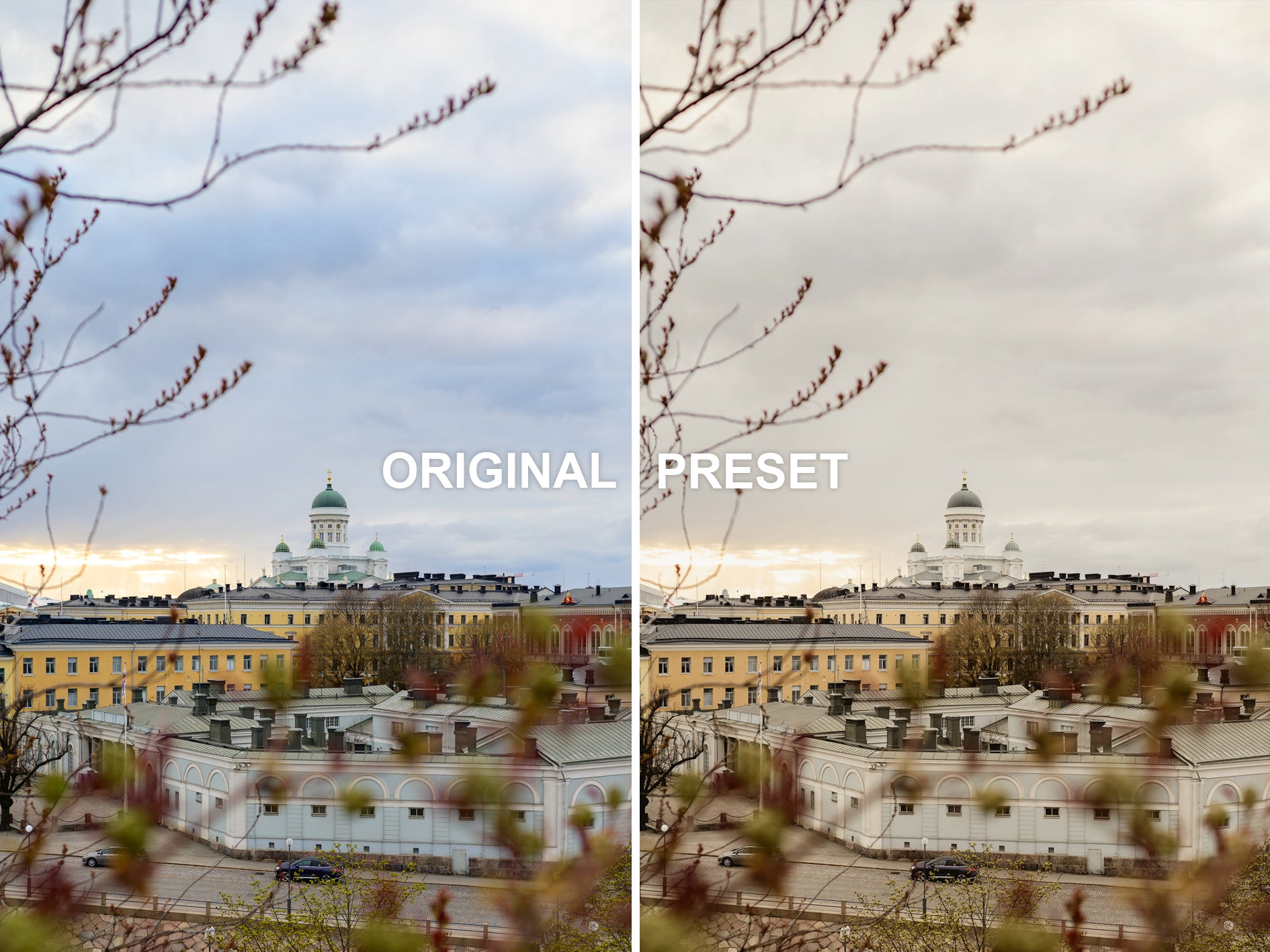 10 CHAMPAGNE Lightroom Presets