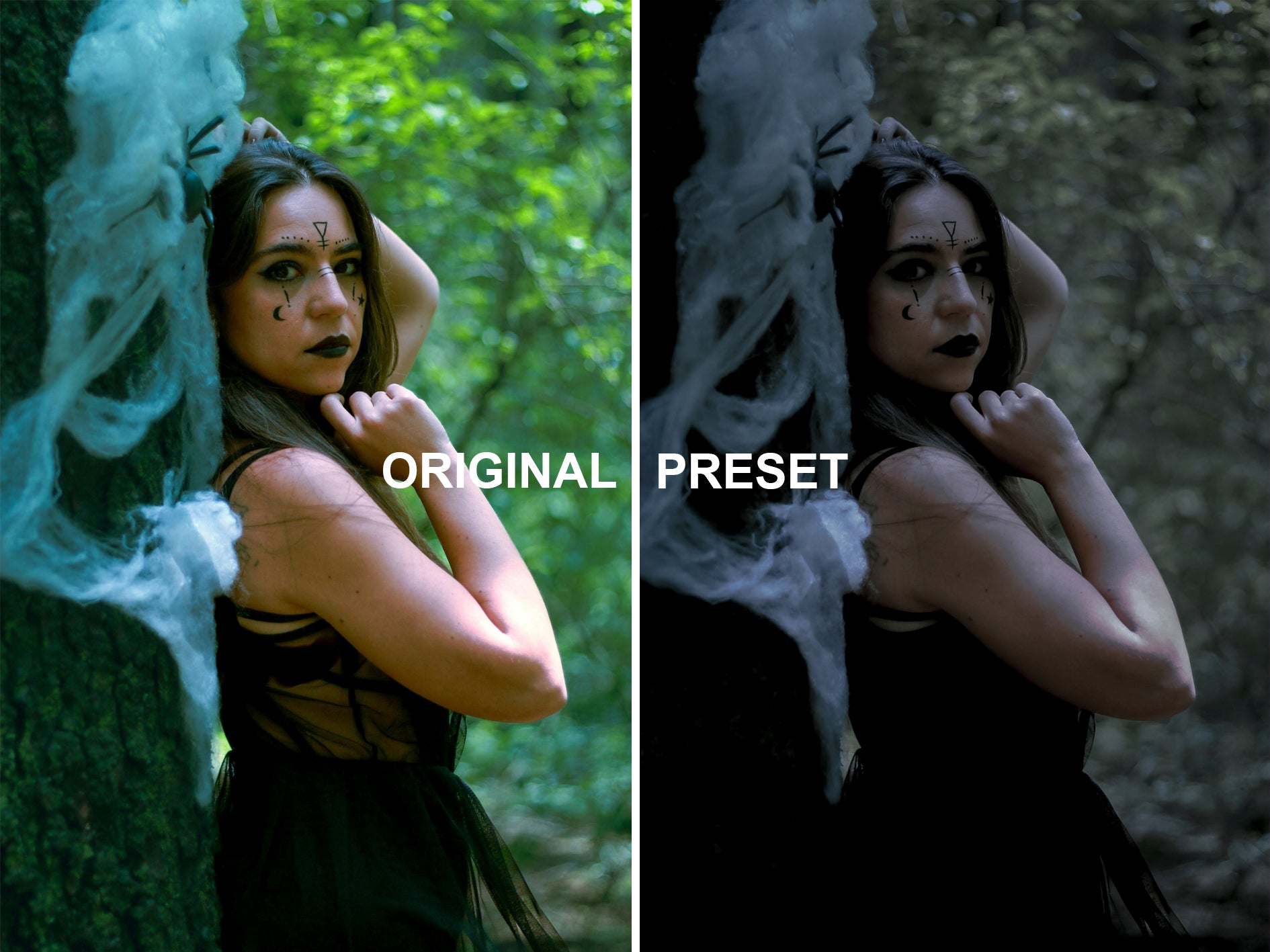 10 Gothic Lightroom Presets