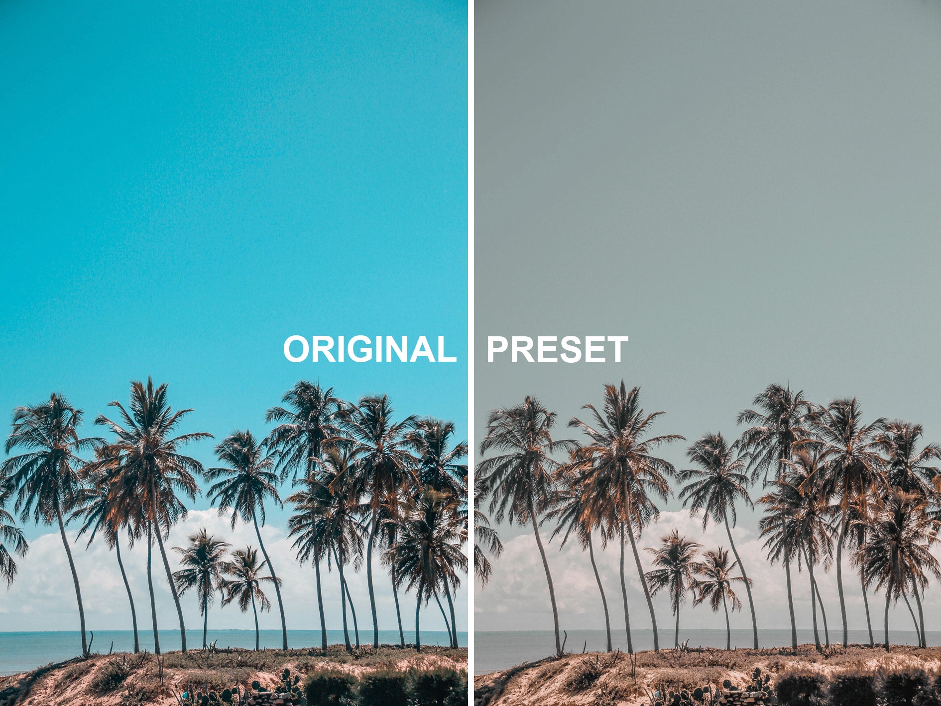10 NEUTRAL PEACH Lightroom Presets
