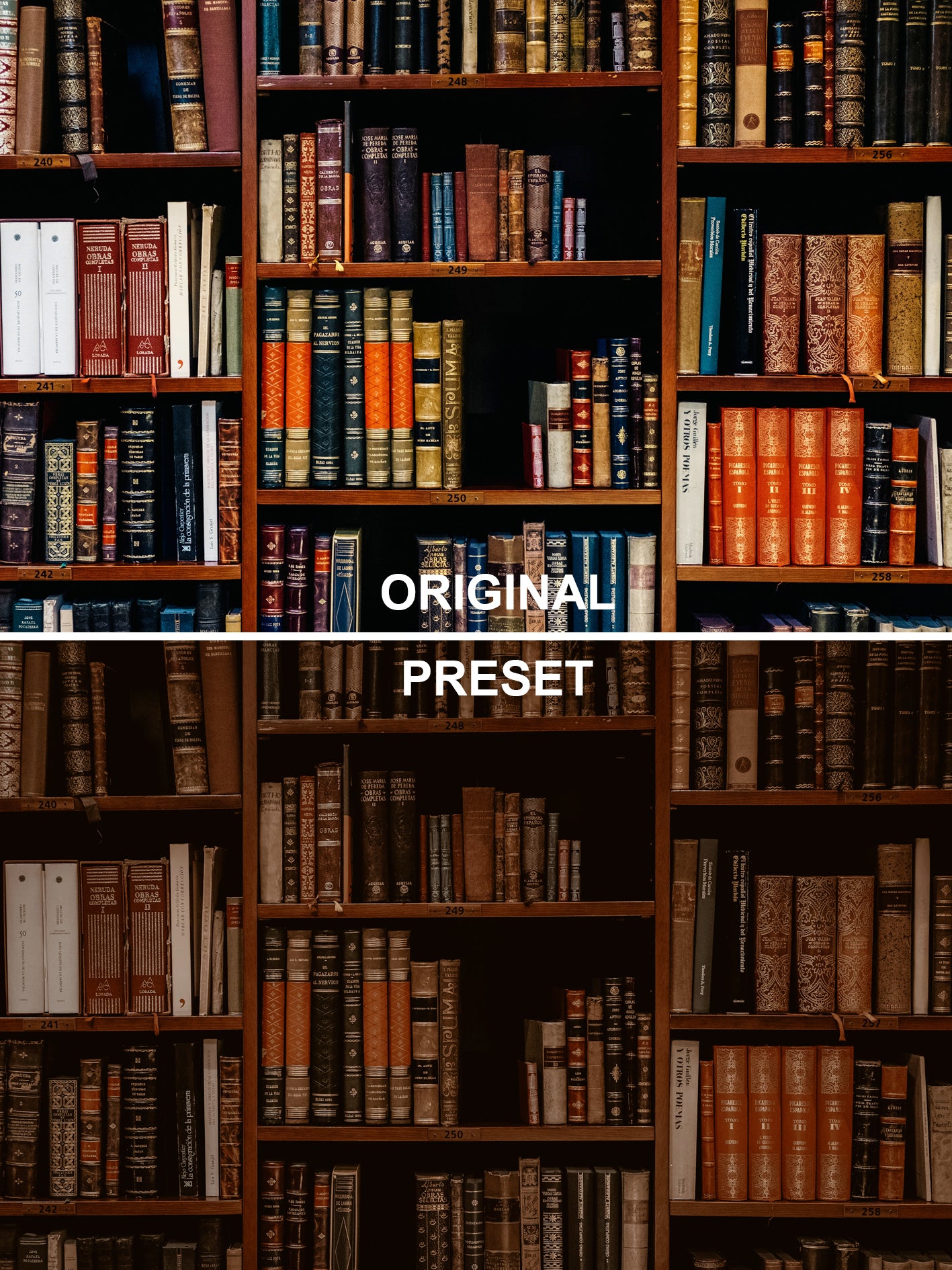 10 Cognac Lightroom Presets