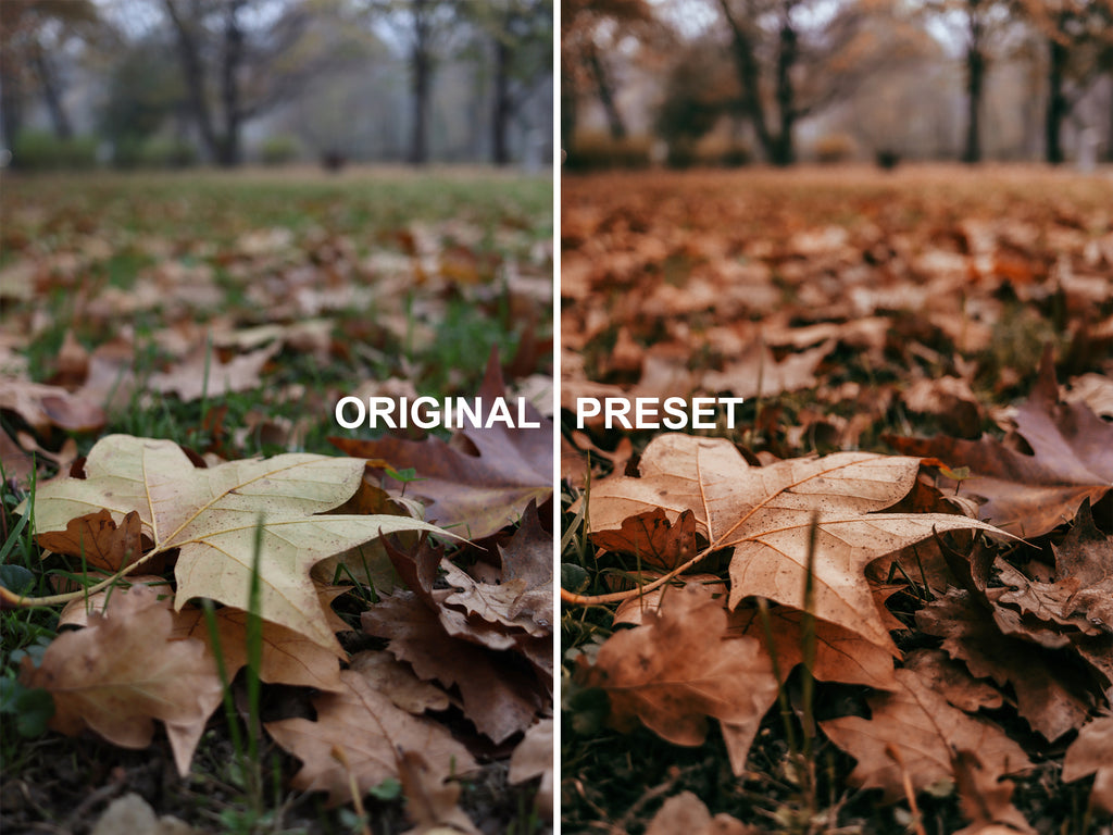10 FALL Lightroom Presets