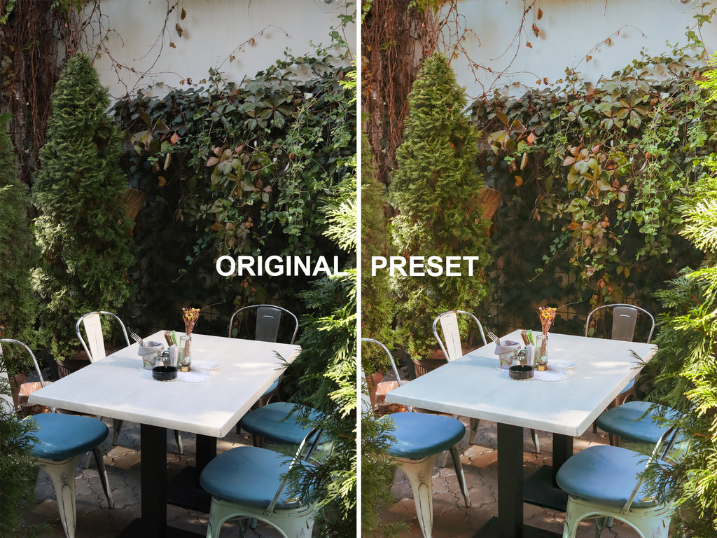10 Vintage Green Lightroom Presets
