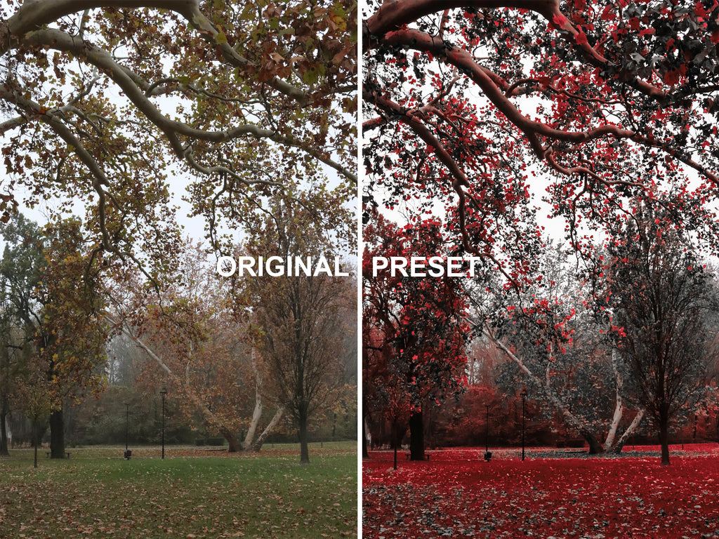 10 INFRARED FILM Lightroom Presets