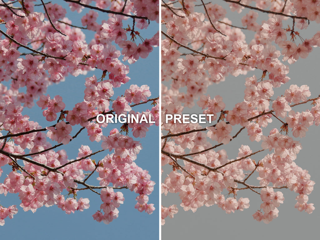 10 SOFT PEACH Lightroom Presets