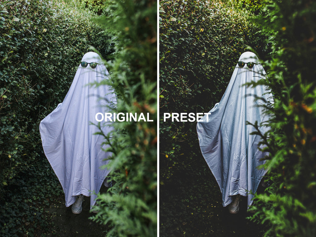10 TRICK OR TREAT Lightroom Presets