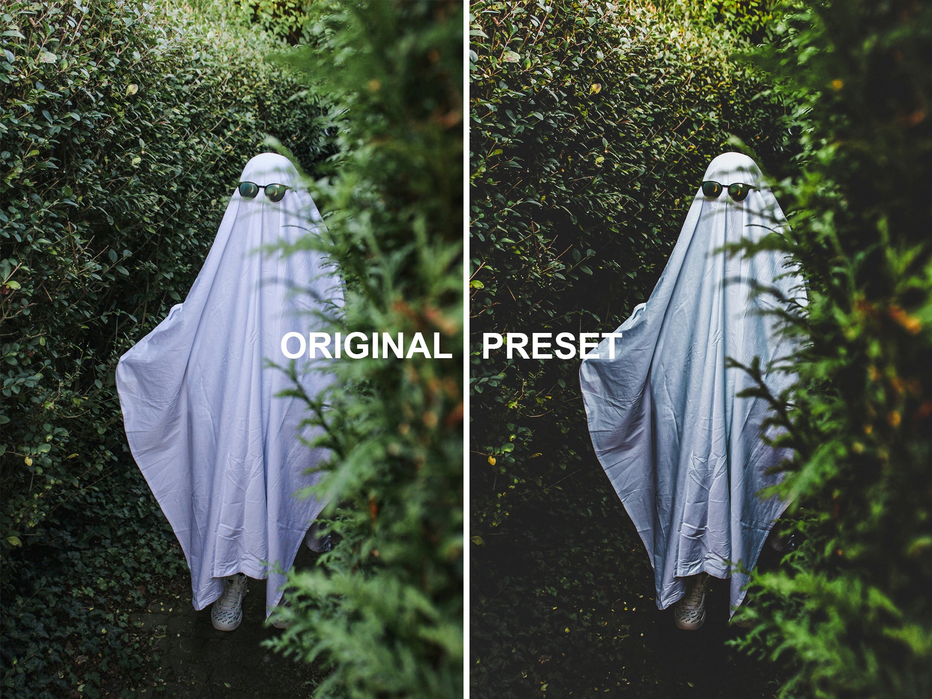 10 TRICK OR TREAT Lightroom Presets