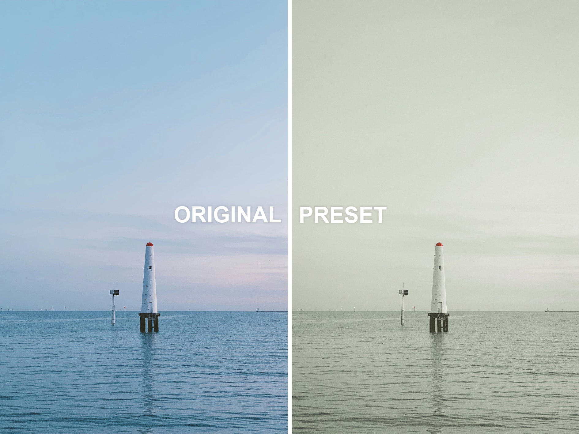 10 SAFARI Lightroom Presets