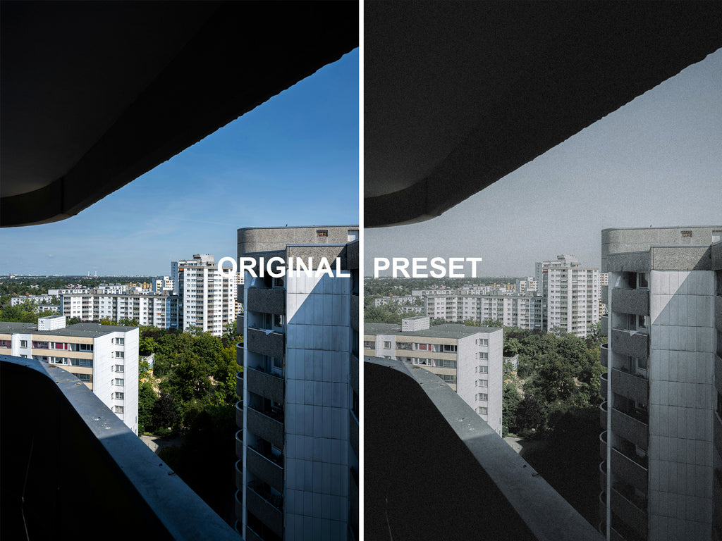 10 ZOO STATION Lightroom Presets