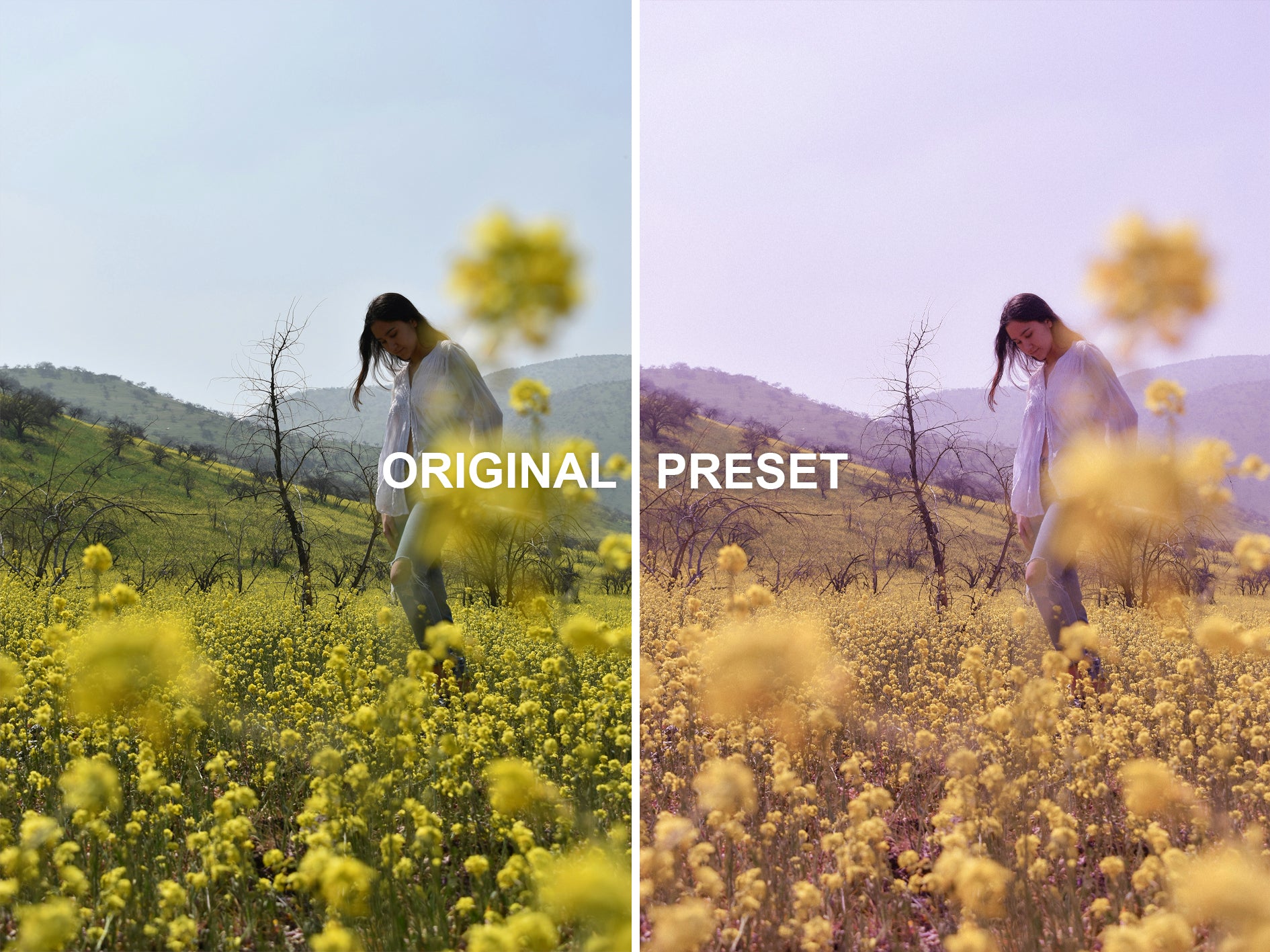 10 PURPLE HAZE Lightroom Presets