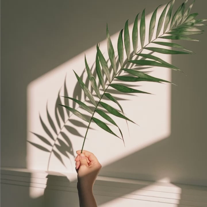 10 KODAK Lightroom Presets