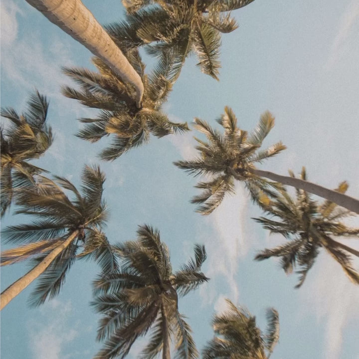 10 TROPICAL Lightroom Presets
