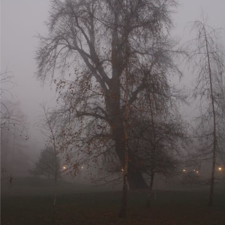 10 FOGHANNA Lightroom Presets