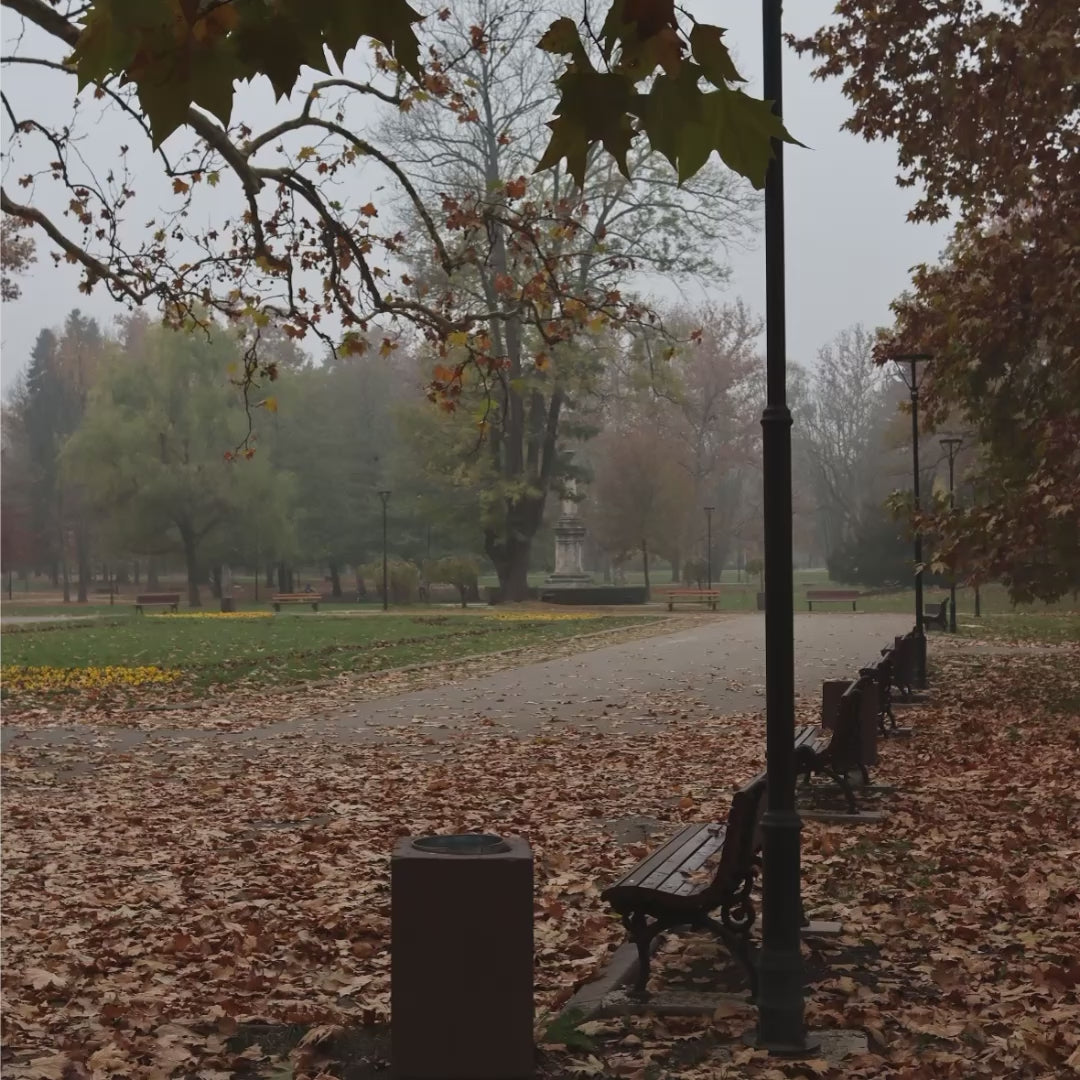 10 FALL Lightroom Presets