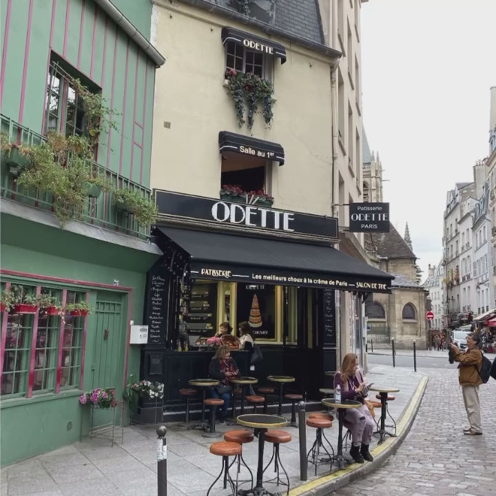 10 AMELIE INSPIRED Lightroom Presets