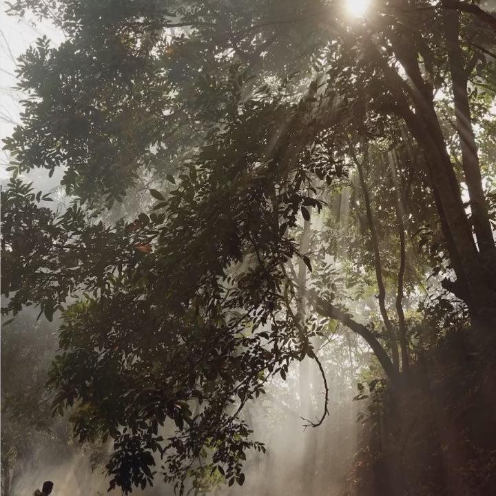 10 ETHEREAL Lightroom Presets