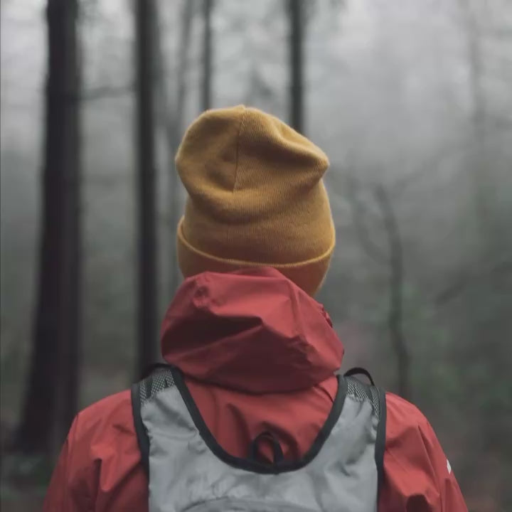 10 RAINFOREST Lightroom Presets