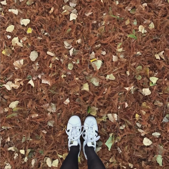 10 AUTUMN Lightroom Presets