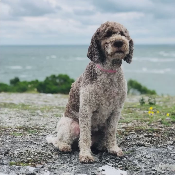 10 TRUFFLE Lightroom Presets