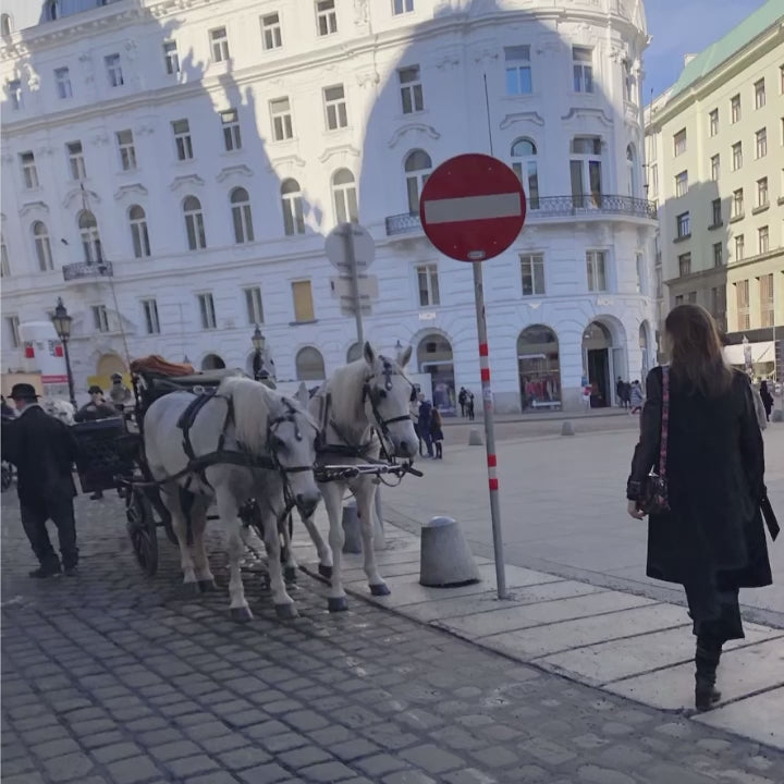 10 VIENNA Lightroom Presets